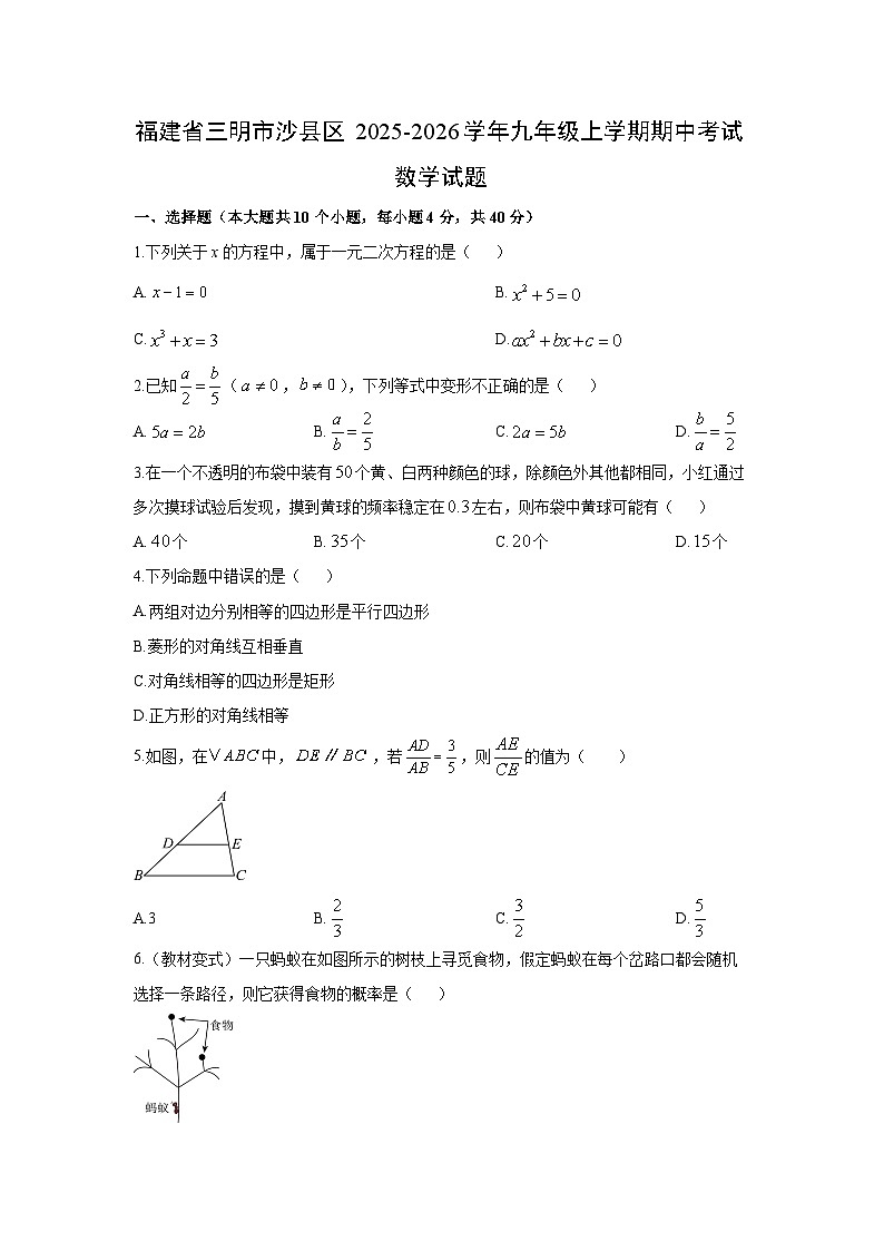 福建省三明市沙县区2025-2026学年九年级上学期期中考试数学试卷（学生版）第1页
