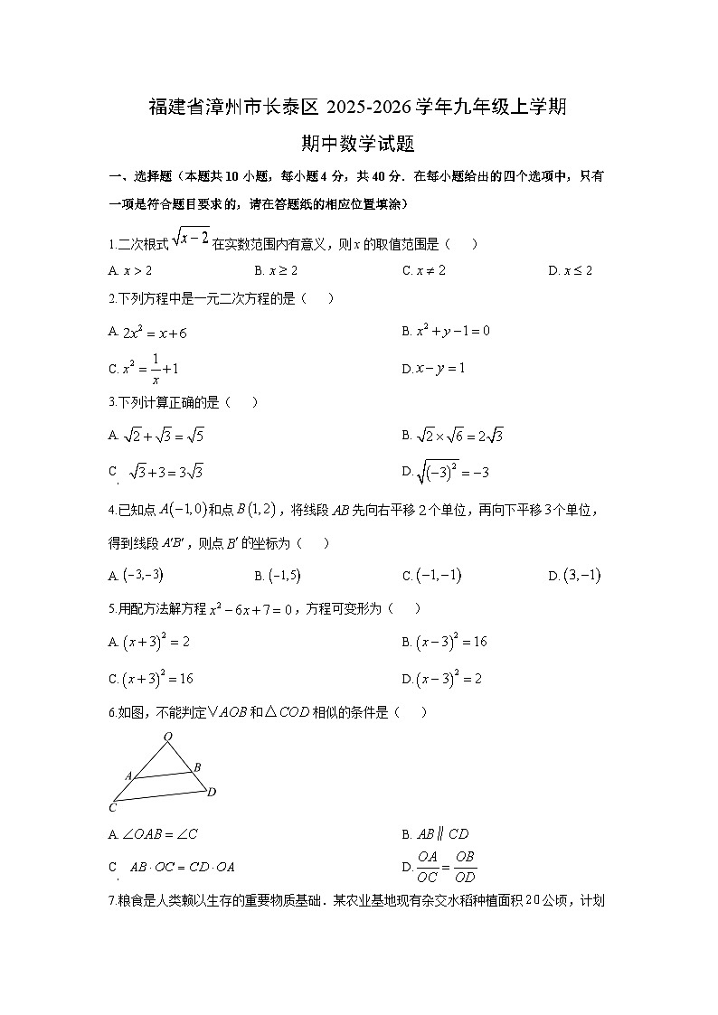 福建省漳州市长泰区2025-2026学年九年级上学期期中数学试卷（学生版）第1页