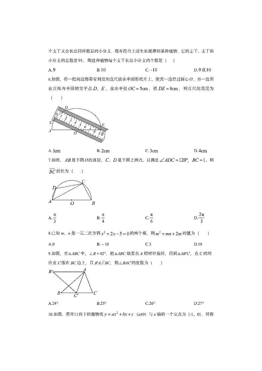 四川省南充市南部县名校2025-2026学年九年级上学期期中考试数学试卷（学生版）第2页