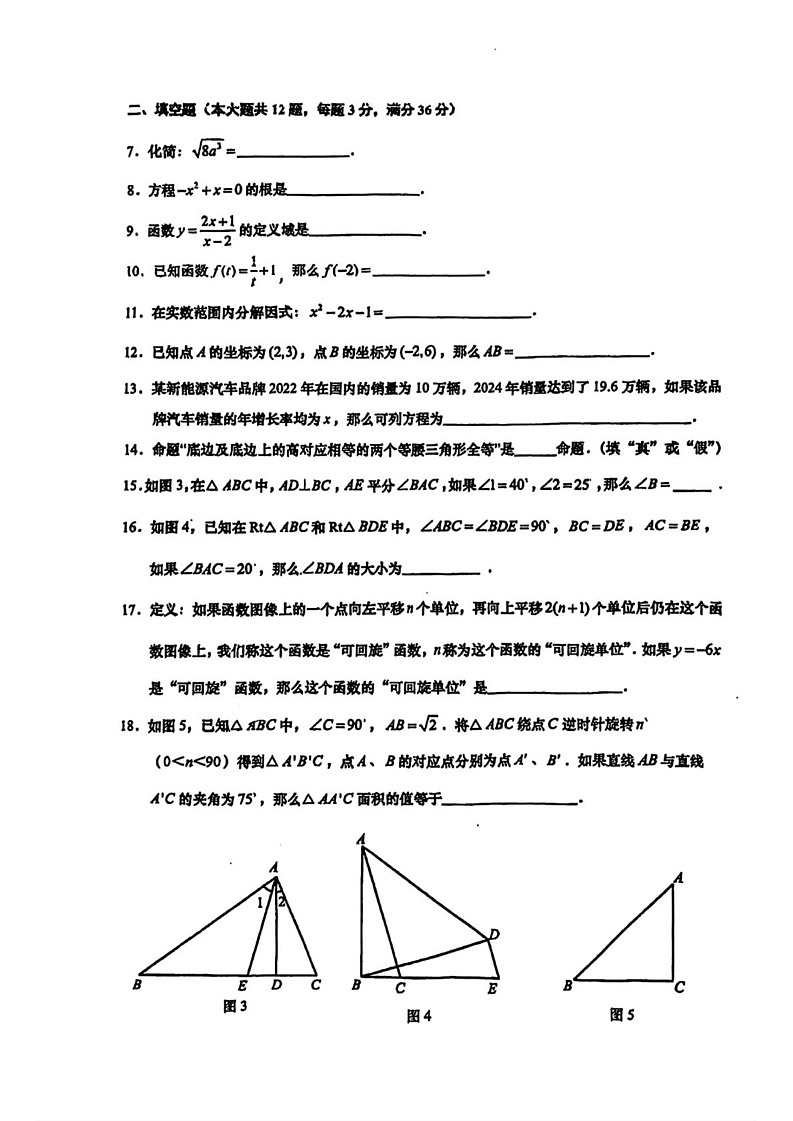 上海市普陀区2024-2025学年八年级上学期期末考试数学试题第2页