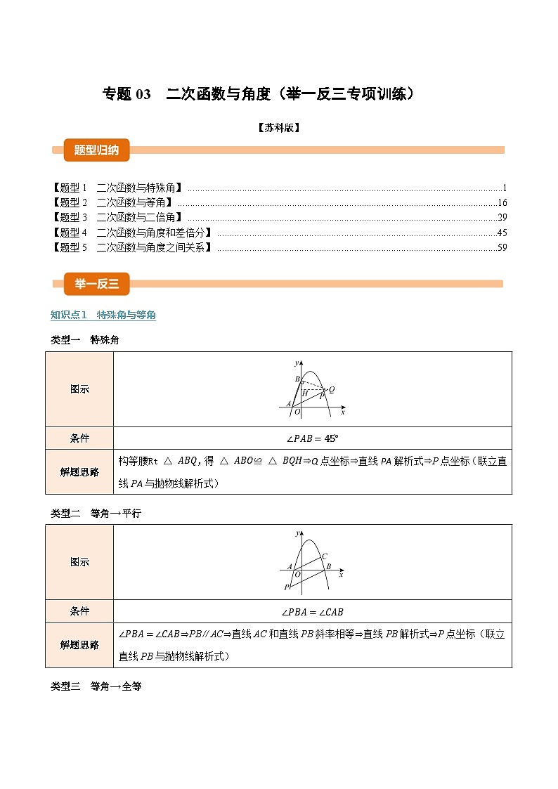 专题03 二次函数与角度（举一反三专项训练）数学苏科版九年级下册（解析版）第1页