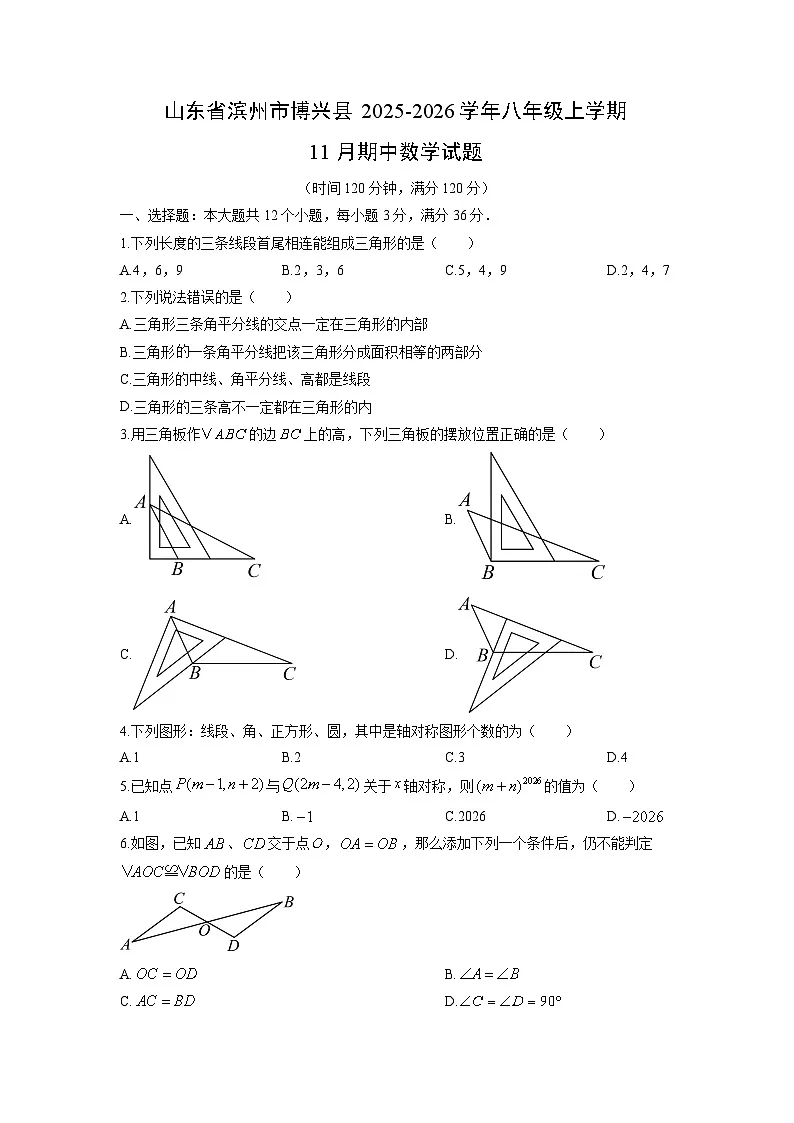 山东省滨州市博兴县2025-2026学年八年级上学期11月期中数学试卷（学生版）第1页