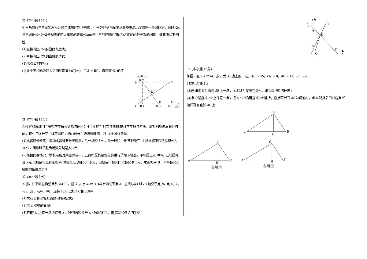 辽宁省沈阳市沈北新区2024-2025学年八年级上学期期末数学练习卷（含答案+解析）第3页