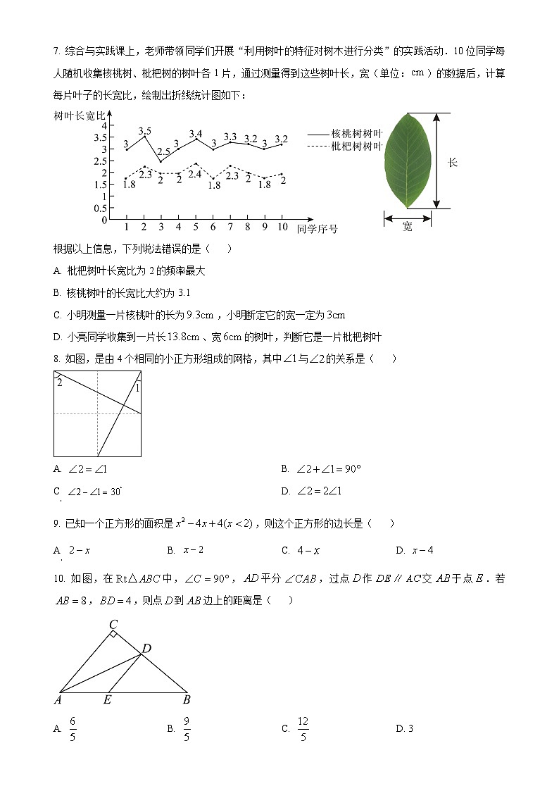 福建省漳州市八年级上学期期末考数学试卷（华师大A卷）（原卷版）-A4第2页