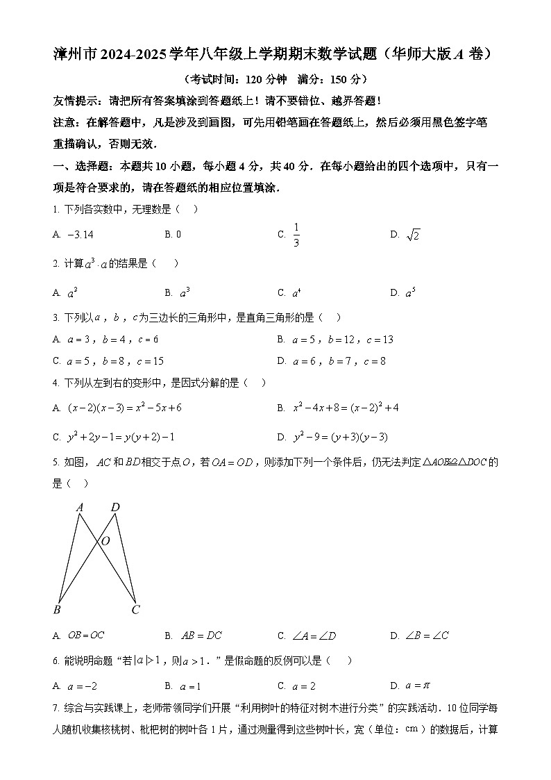 福建省漳州市2024—-2025学年八年级上学期期末教学质量检测数学试题(华师大版A卷)（原卷版）-A4第1页