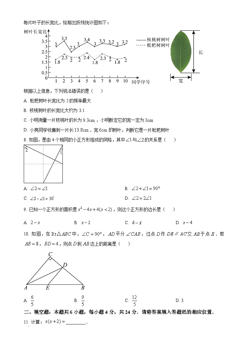 福建省漳州市2024—-2025学年八年级上学期期末教学质量检测数学试题(华师大版A卷)（原卷版）-A4第2页
