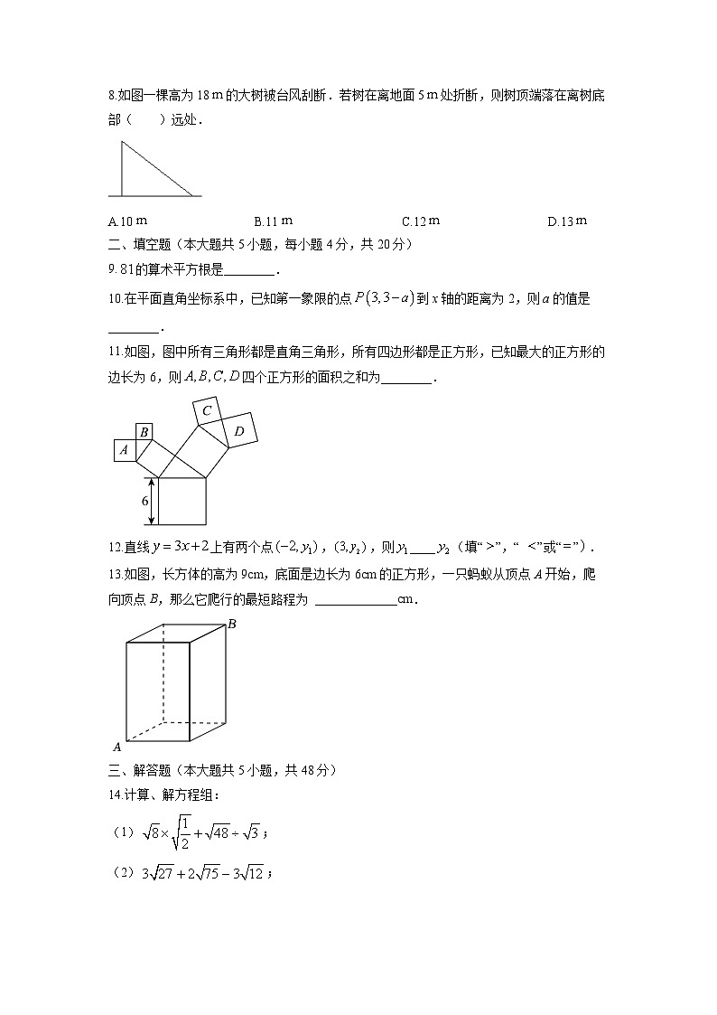 四川省成都市双流区2025-2026学年八年级上学期期中数学试卷（学生版）第2页