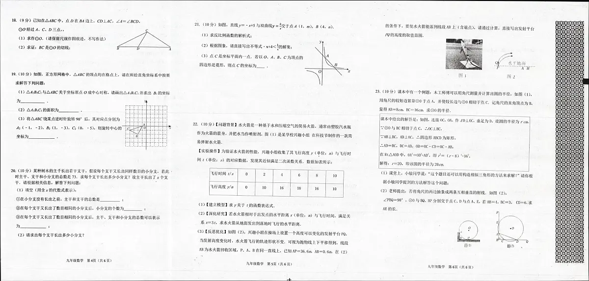 河南省信阳市平桥区2025-2026学年九年级上学期12月月考数学试题第2页
