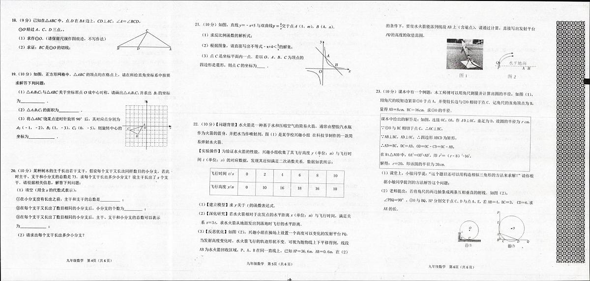 河南省信阳市平桥区2025-2026学年九年级上学期12月月考数学试题第2页