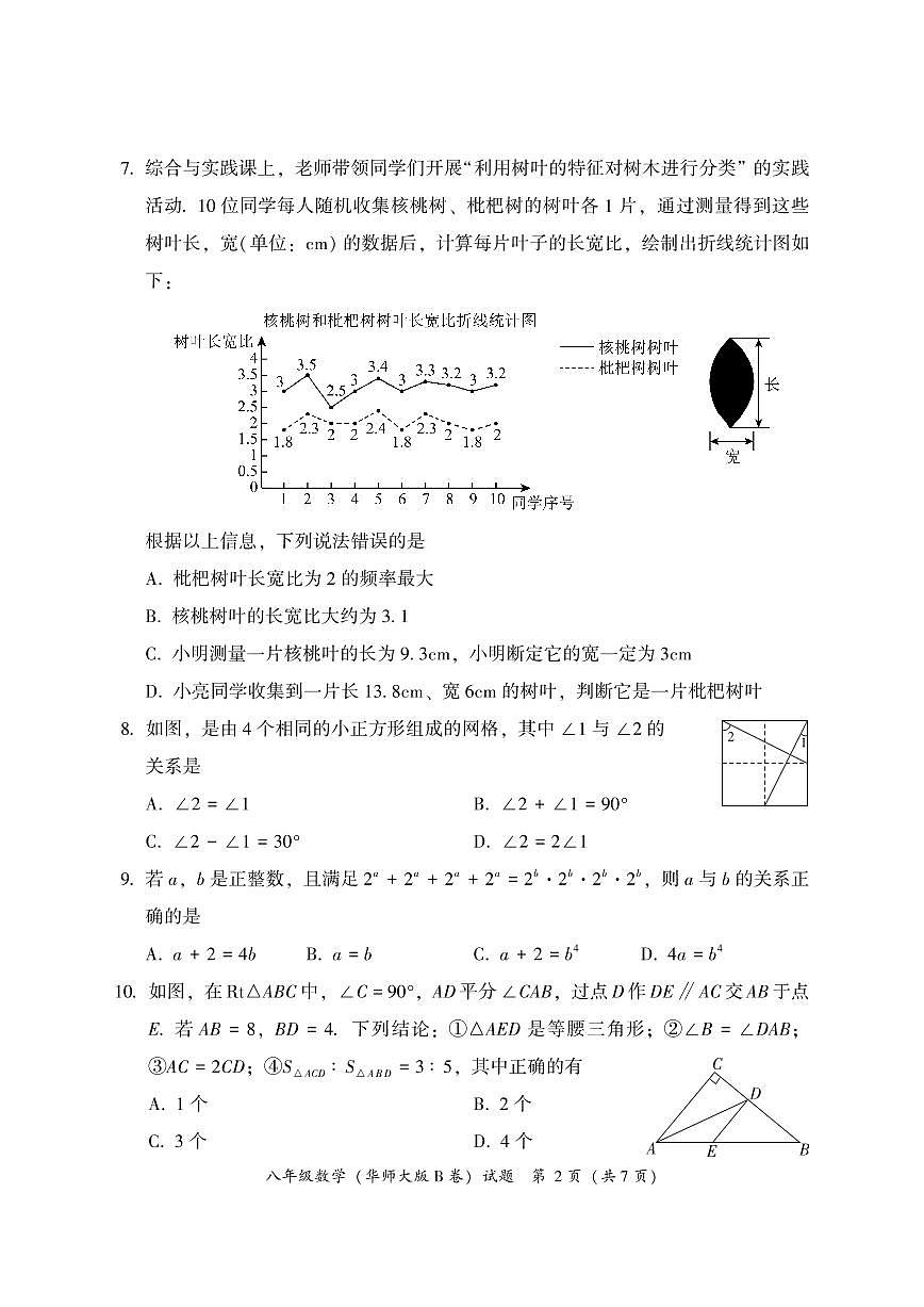 福建省漳州市2024—-2025学年八年级上学期期末教学质量检测数学试题（华东师大版B卷）第2页