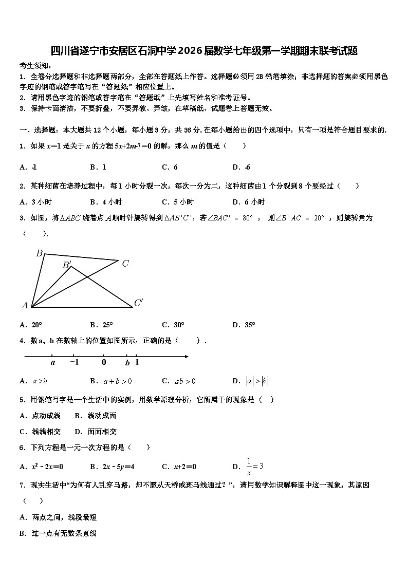 四川省遂宁市安居区石洞中学2026届数学七年级第一学期期末联考试题含解析第1页