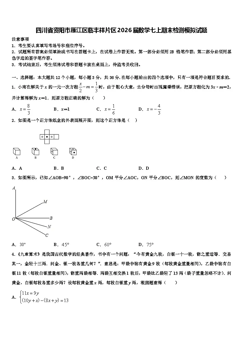 四川省资阳市雁江区临丰祥片区2026届数学七上期末检测模拟试题含解析第1页