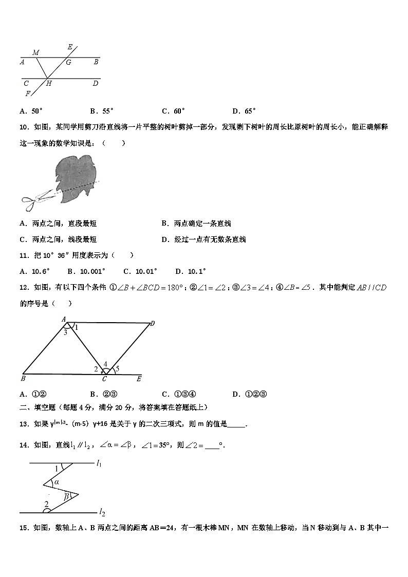 浙江绍兴市越城区2026届数学七上期末监测模拟试题含解析第3页