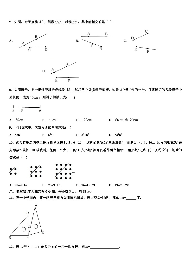 浙江省杭州市萧山区五校联考2026届数学七年级第一学期期末质量检测模拟试题含解析第2页