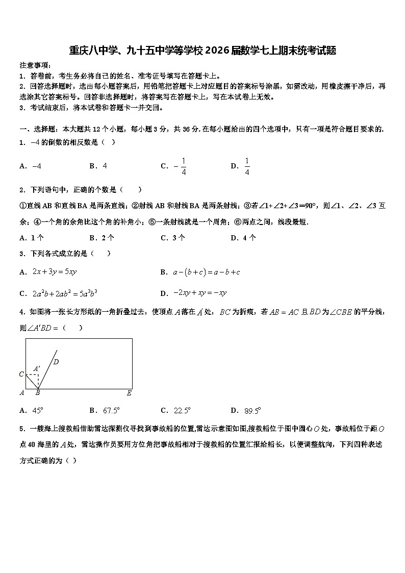 重庆八中学、九十五中学等学校2026届数学七上期末统考试题含解析第1页