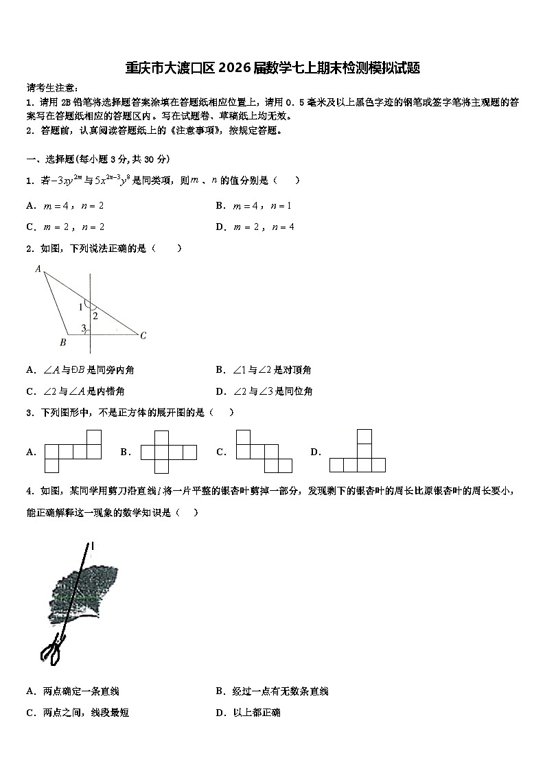 重庆市大渡口区2026届数学七上期末检测模拟试题含解析第1页