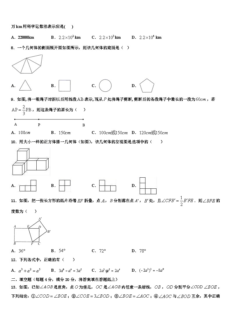 重庆市涪陵区第十九中学2026届七年级数学第一学期期末达标测试试题含解析第2页