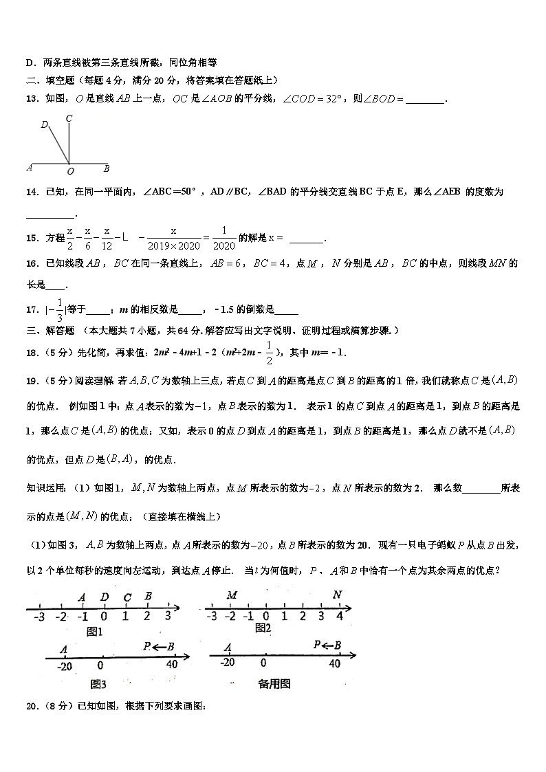 重庆市綦江中学2026届数学七上期末监测试题含解析第3页