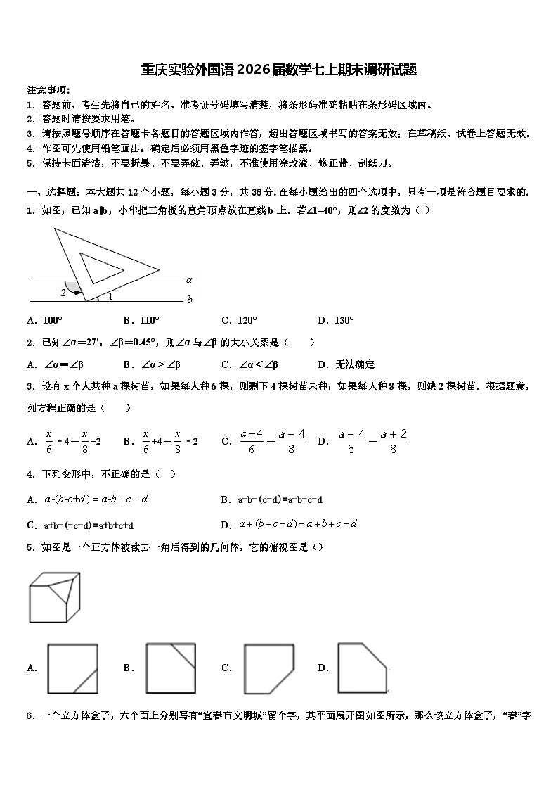 重庆实验外国语2026届数学七上期末调研试题含解析第1页