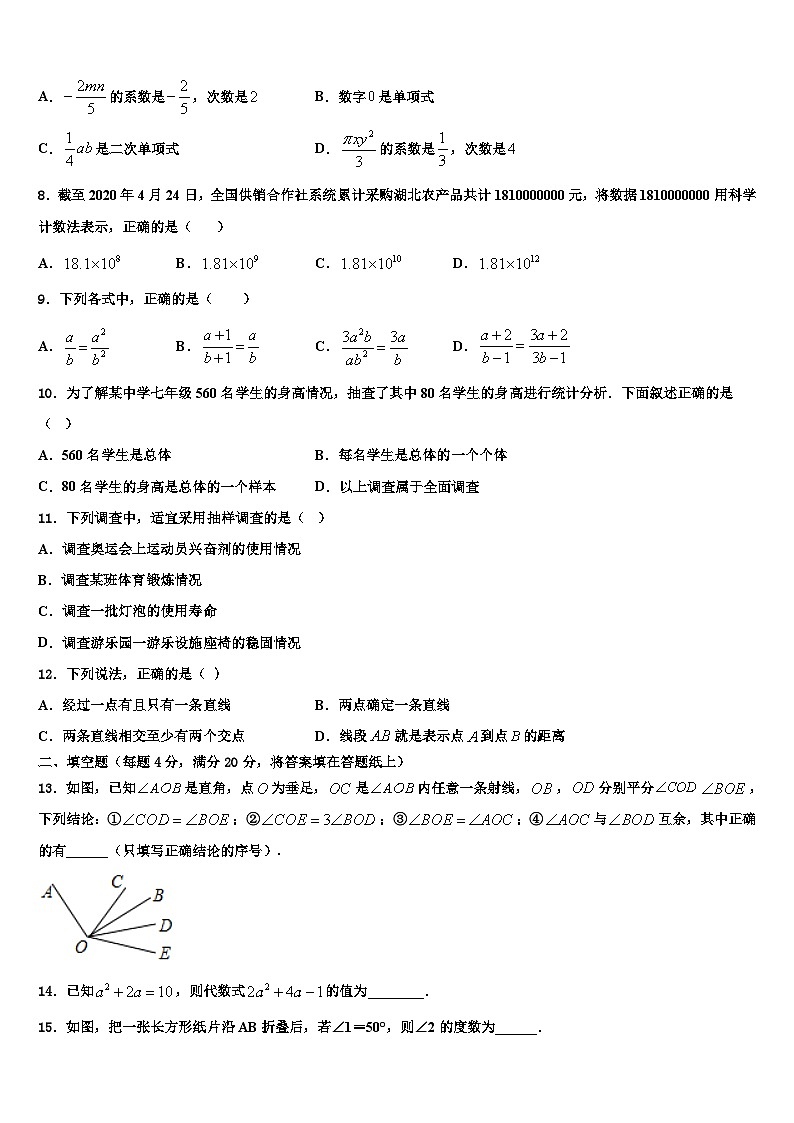 新疆吐鲁番市高昌区2026届数学七年级第一学期期末学业水平测试试题含解析第2页