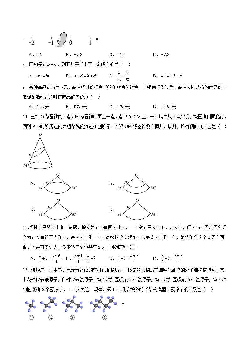 广西河池市2024-2025学年七年级上学期期末检测数学试卷(含解析)第2页