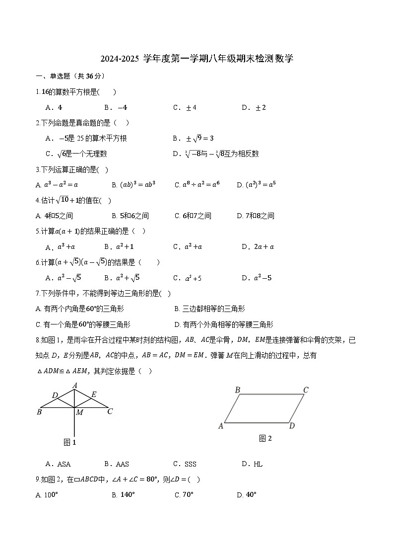 海南华侨中学2024-2025学年八年级上学期期末考试数学试卷(含答案)第1页