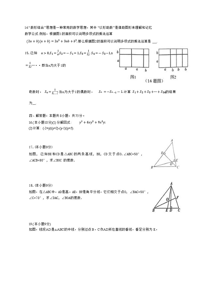 河南省信阳市罗山县2024-2025学年八年级上学期1月期末考试数学试卷(含答案)第3页