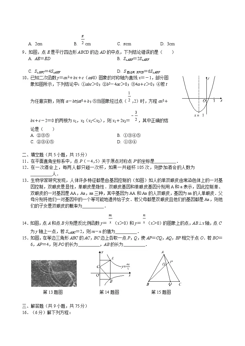 湖北省大冶市2025届九年级上学期期末考试数学试卷(含答案)第2页