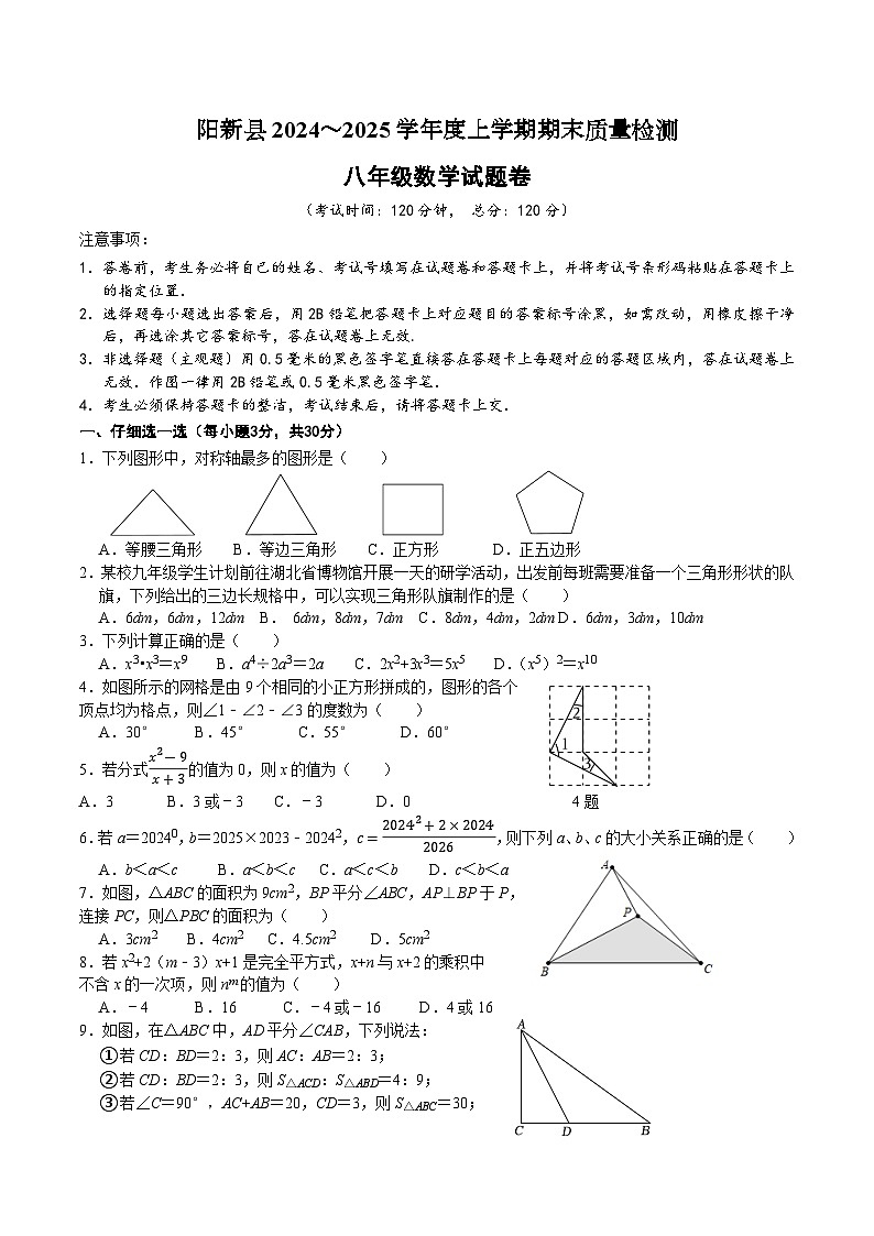 湖北省黄石市阳新县2024-2025学年八年级上学期期末考试数学试卷(含答案)第1页