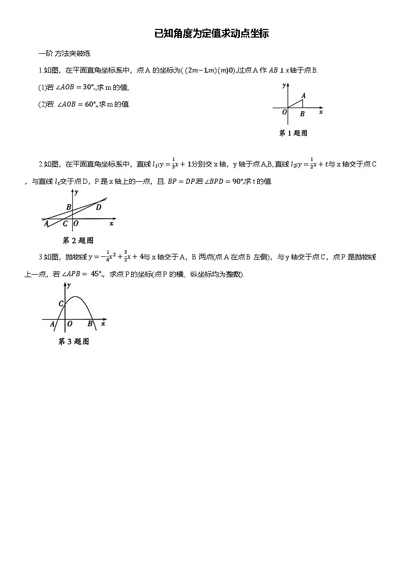 2025年中考数学专题复习——已知角度为定值求动点坐标练习（含答案）第1页