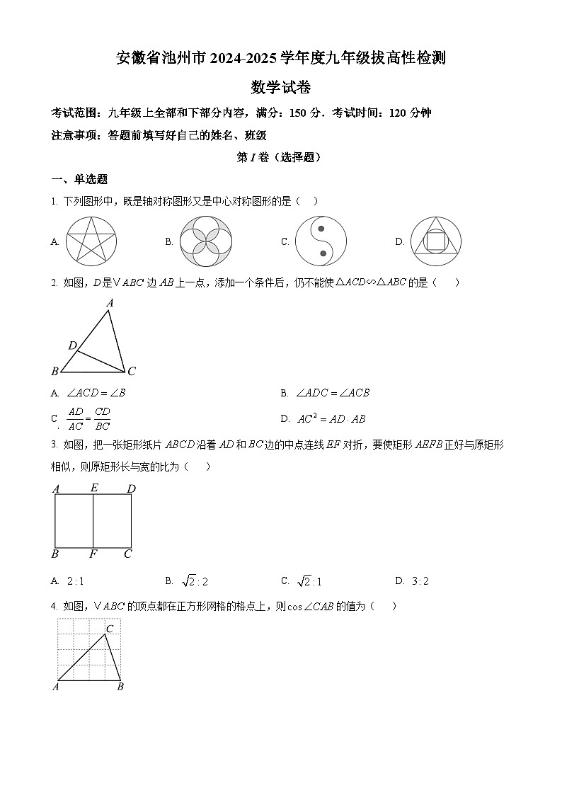 安徽省池州市2024-2025学年九年级上学期拔高性检测数学试卷第1页