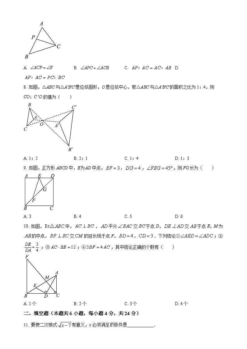 福建省晋江市晋江学校九年级上学期月考数学试题（原卷版）-A4第2页