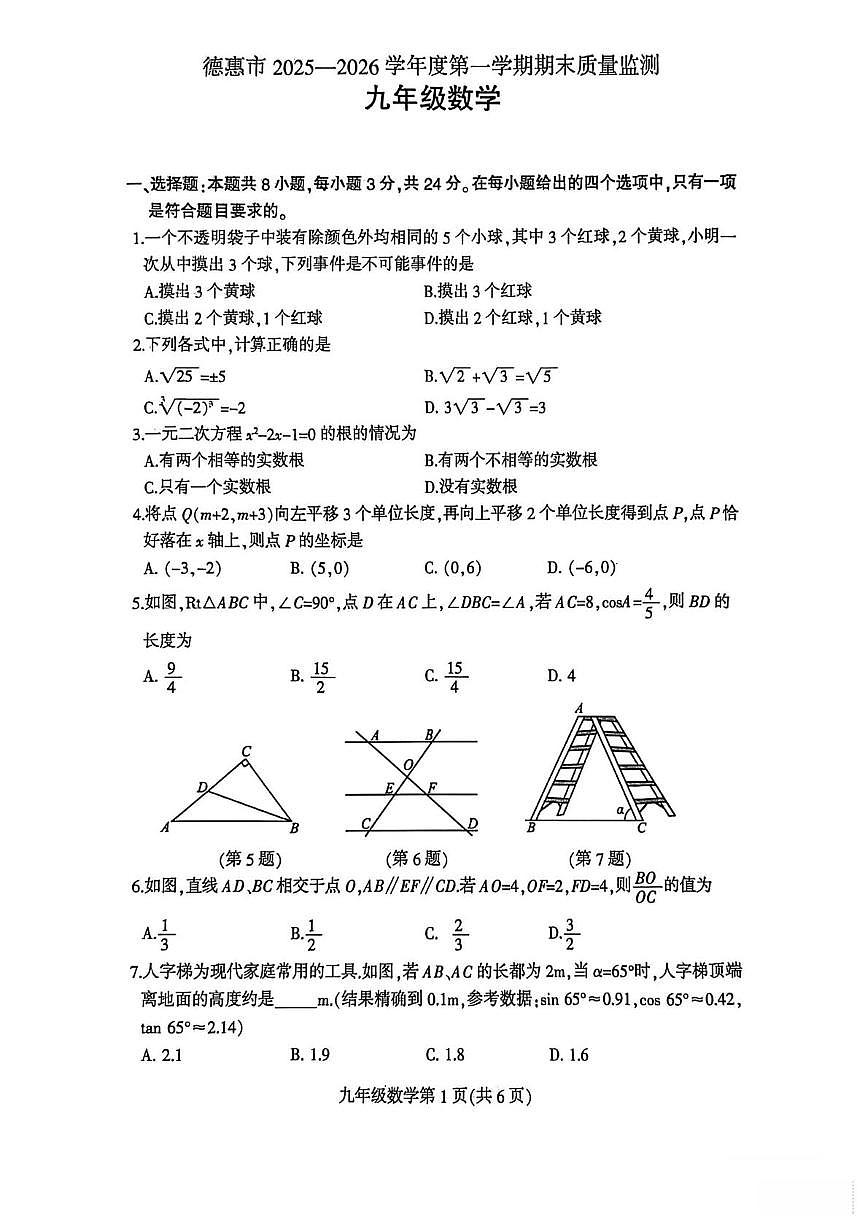 吉林省长春市德惠市第八中学2025-2026学年九年级上学期1月期末数学试题第1页