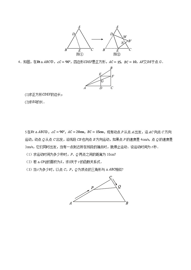 专题14 相似三角形十种模型（期末复习专项训练）九年级数学上学期人教版（原卷版）第2页