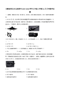 安徽省淮北市五校联考2025-2026学年九年级上学期12月月考数学试题-自定义类型