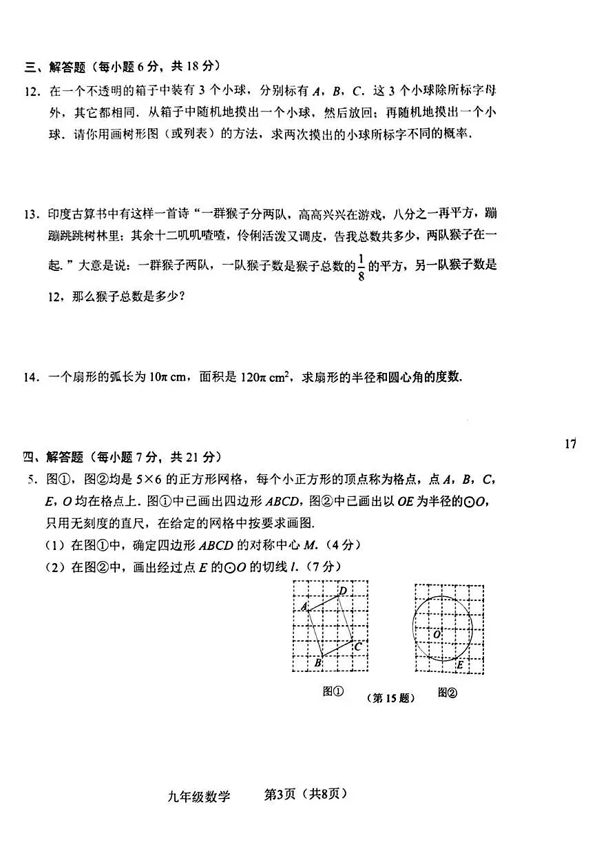 吉林省通化市辉南县第四中学2025-2026学年九年级上学期期末数学试卷第3页