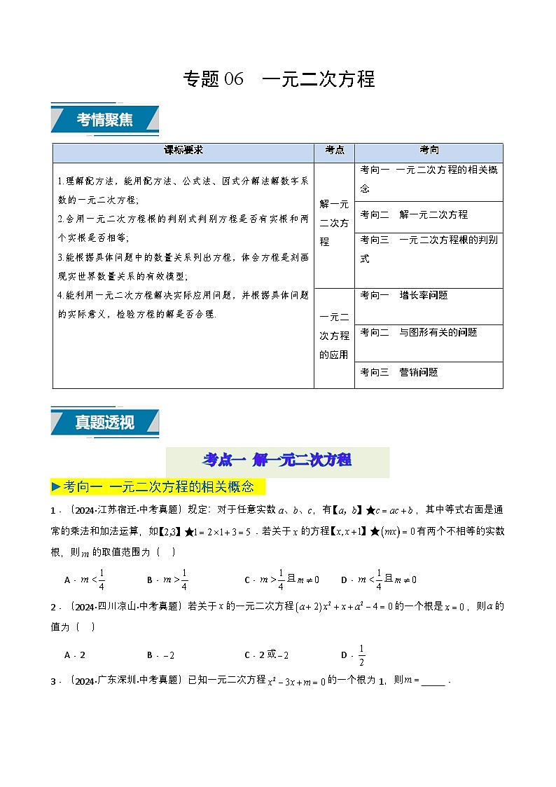 专题06 一元二次方程（学生版）第1页