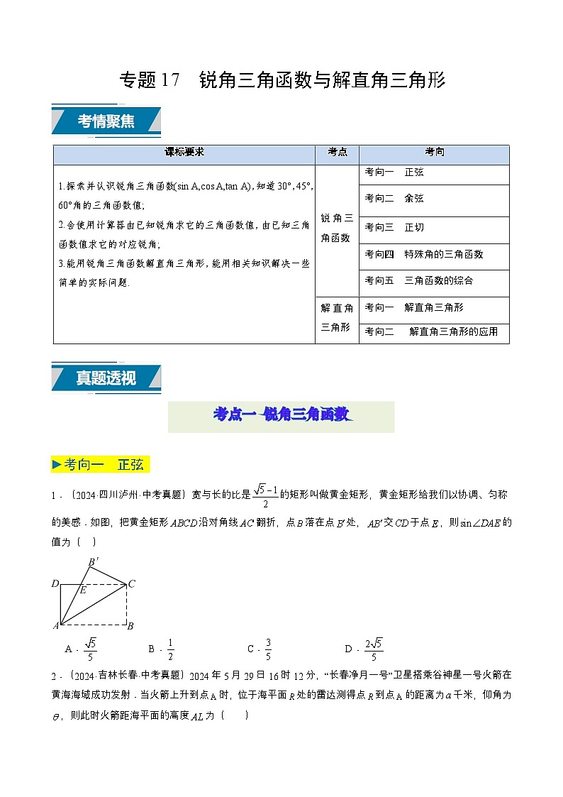 专题17 锐角三角函数与解直角三角形（学生版）第1页
