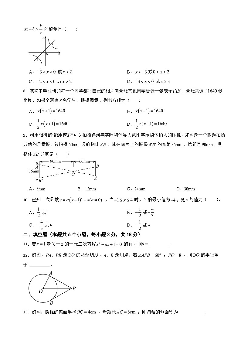 广东省广州市增城区2025年上学期九年级数学期末试卷附答案第2页