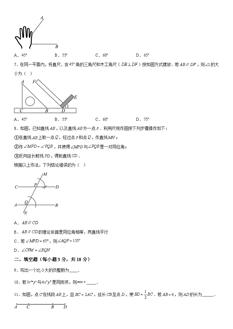 吉林省长春市朝阳区2025-2026学年七年级上册期末数学试题（含答案）第2页