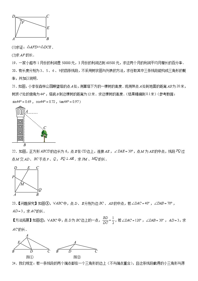吉林省长春市经开区2025-2026学年上学期期末九年级数学试卷 含详解第3页