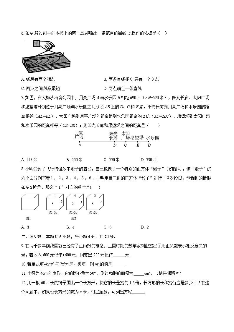 广东省深圳市盐田区2024-2025学年七年级上学期期末考试数学试卷-自定义类型第2页
