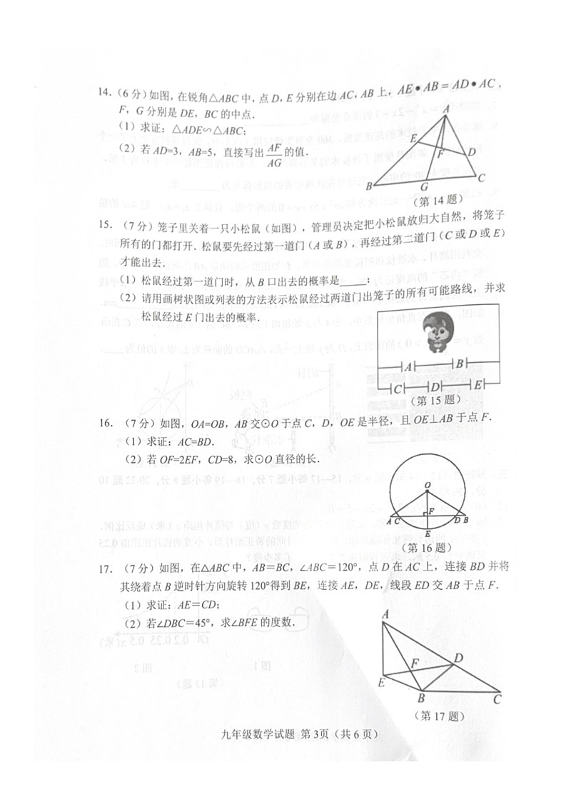 吉林省吉林市蛟河市2025-2026学年九年级上学期1月期末数学试题第3页