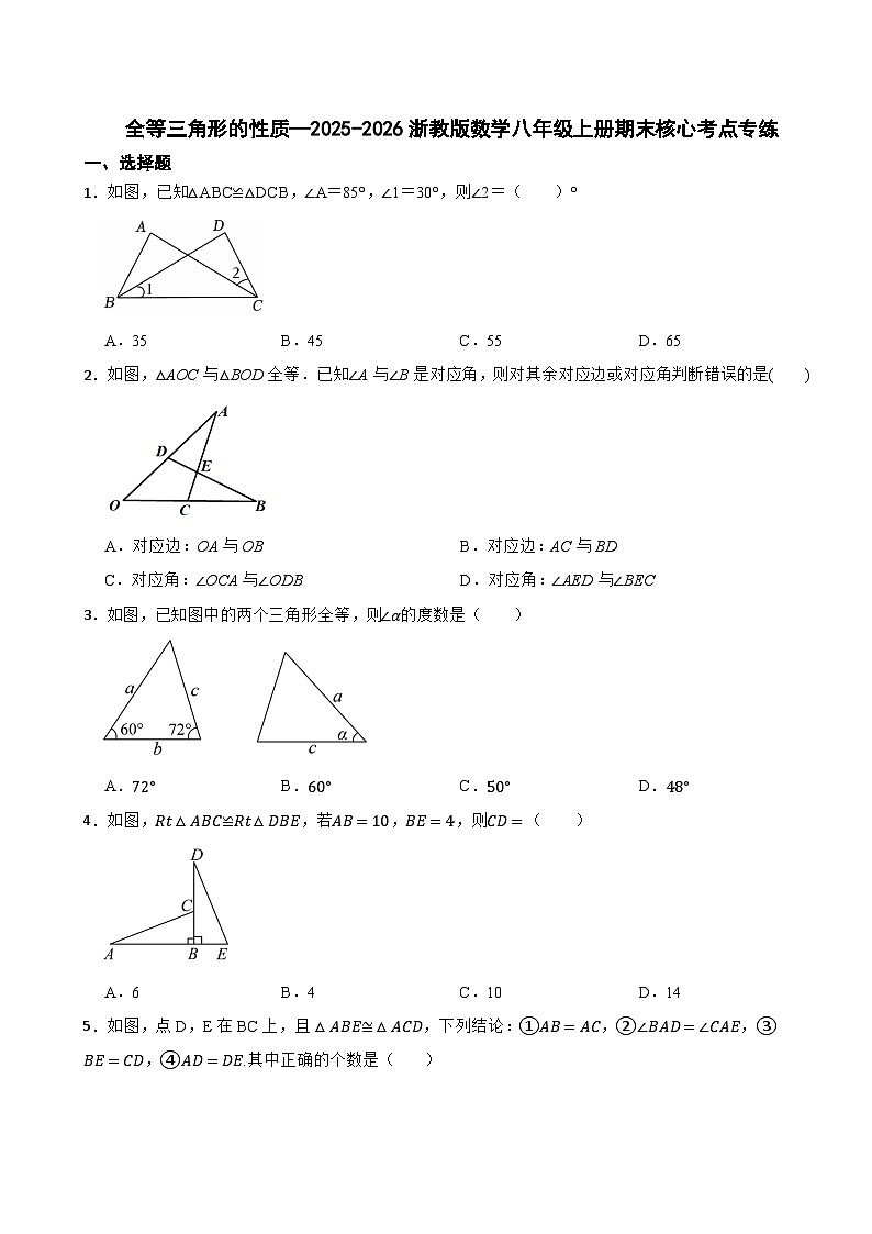 全等三角形的性质—2025-2026浙教版数学八年级上册期末核心考点专练第1页