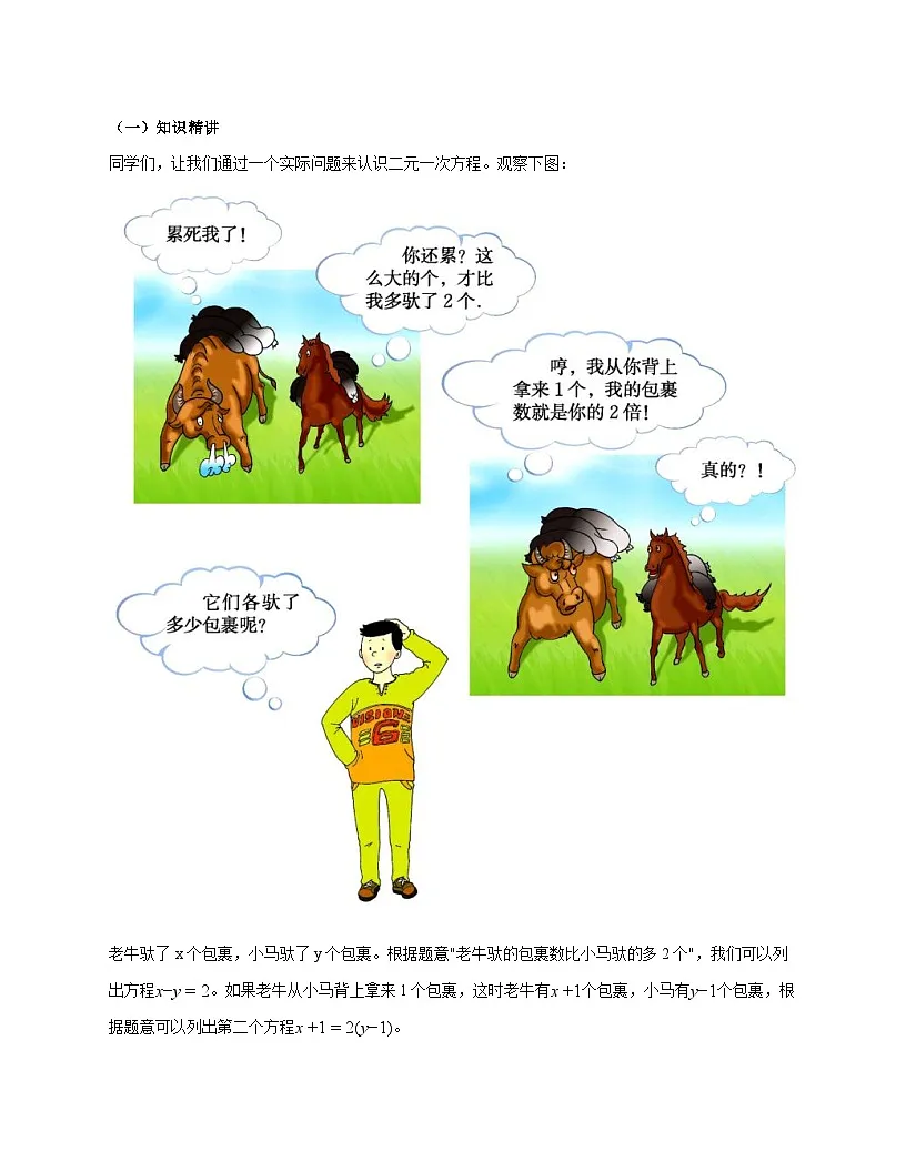 5.1认识二元一次方程组教学设计2025--2026学年北师大版八年级数学上册 [含答案]第3页