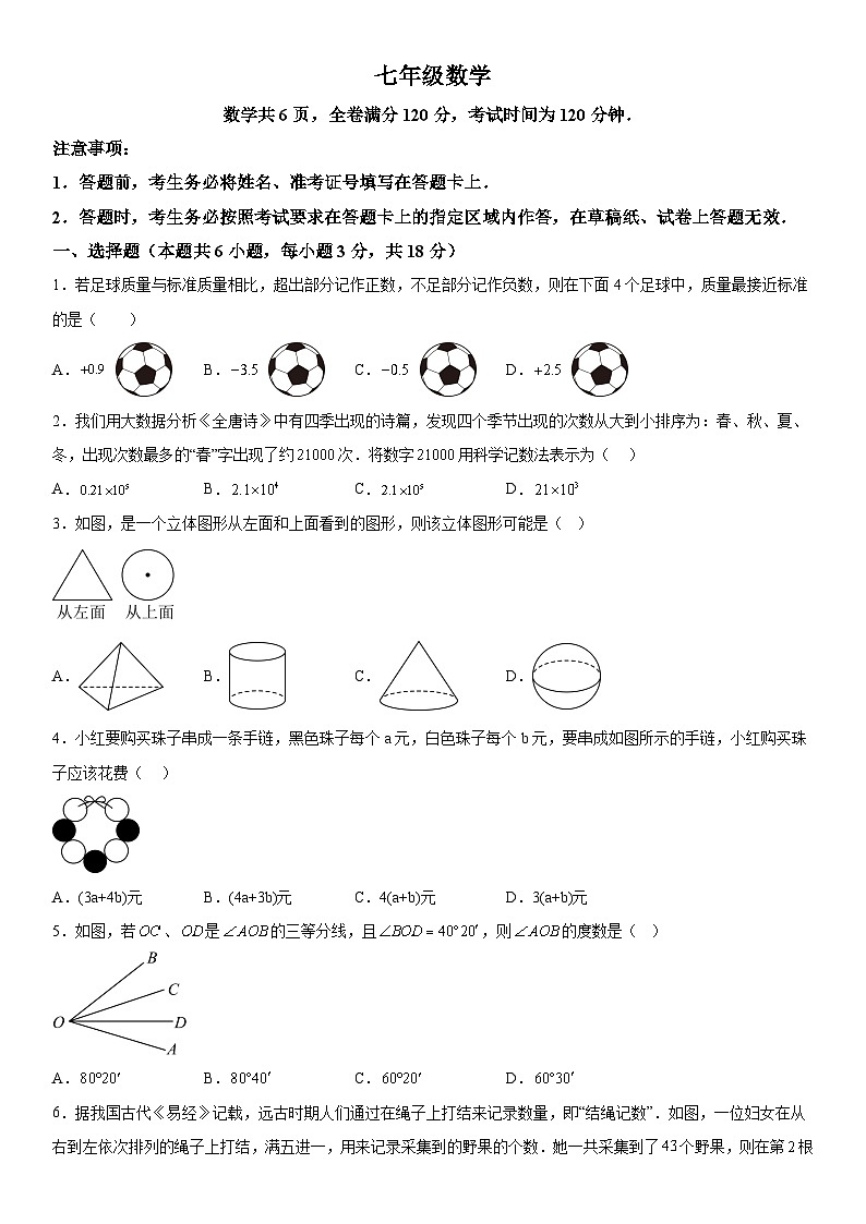 吉林省通化市辉南县第四中学2025-2026学年七年级上册期末 数学试卷第1页