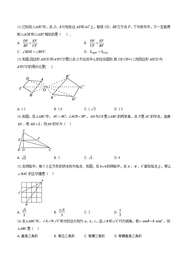 四川省射洪中学校2025-2026学年九年级上学期1月月考数学试题-自定义类型第3页