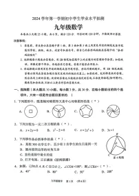 2024-2025学年广东省广州市荔湾区九年级上学期期末数学试卷(含答案)