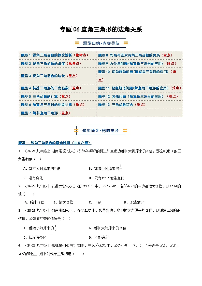 专题06 直角三角形的边角关系（期末复习专项训练）（原卷版）第1页