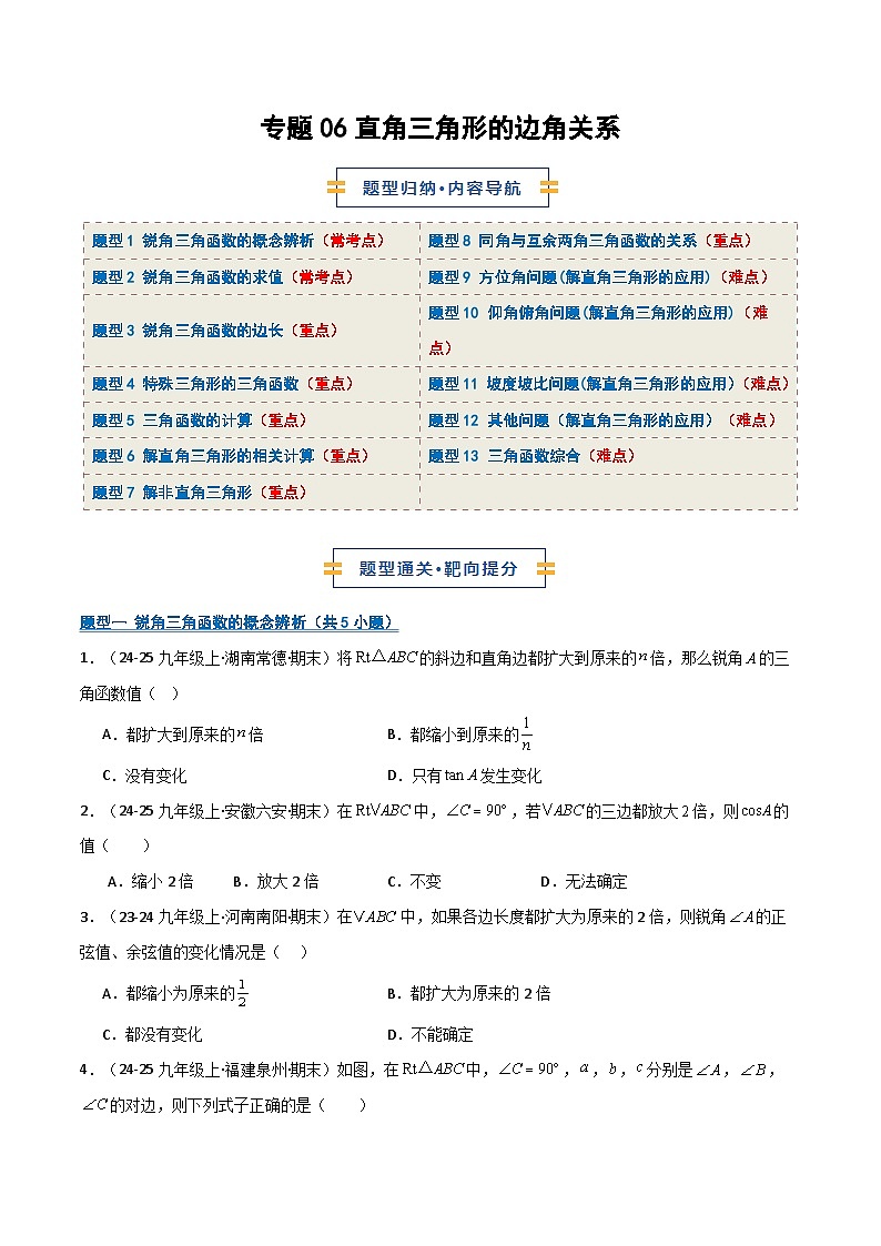 专题06 直角三角形的边角关系（期末复习专项训练）（原卷版）第1页